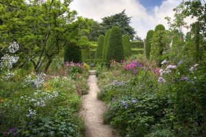 Lire la suite à propos de l’article Plantes de jardin à couper – Choisir des plantes pour un jardin de fleurs coupées