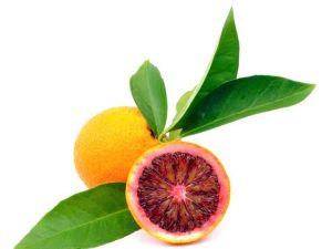 Lire la suite à propos de l’article Entretien des orangers sanguins : comment faire pousser des oranges sanguines