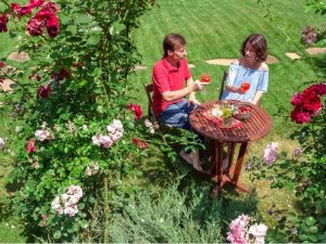 Lire la suite à propos de l’article Choisir des fleurs romantiques : comment faire pousser un jardin romantique