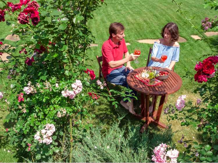 You are currently viewing Choisir des fleurs romantiques : comment faire pousser un jardin romantique