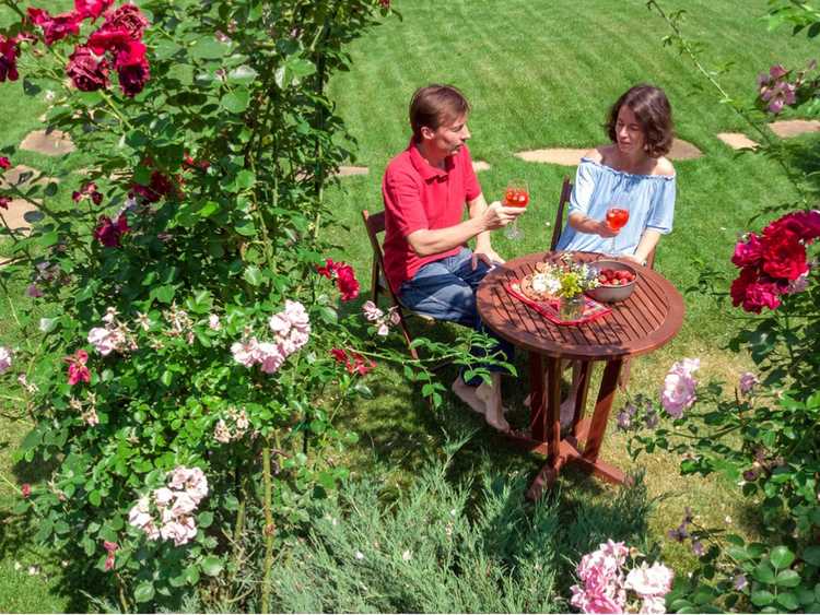 Lire la suite à propos de l’article Choisir des fleurs romantiques : comment faire pousser un jardin romantique