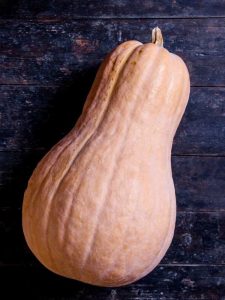 Lire la suite à propos de l’article Cueillette de courge d'hiver – Comment et quand récolter la courge musquée