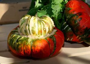 Lire la suite à propos de l’article Qu'est-ce qu'une courge turban : comment faire pousser des plants de courge turban de Turk