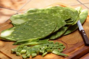 Lire la suite à propos de l’article Récolte de coussinets de cactus comestibles – Comment cueillir des coussinets de cactus à manger