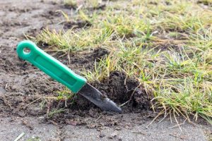 Lire la suite à propos de l’article Qu'est-ce qu'un couteau de jardin : découvrez les utilisations des couteaux de jardin