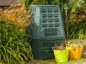 Lire la suite à propos de l’article Comment réduire les déchets dans votre cour et votre jardin