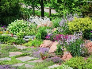 Lire la suite à propos de l’article Comment créer un jardin de crevasses dans votre cour