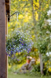 Lire la suite à propos de l’article Crochets décoratifs pour plantes : crochets intéressants pour suspendre des paniers