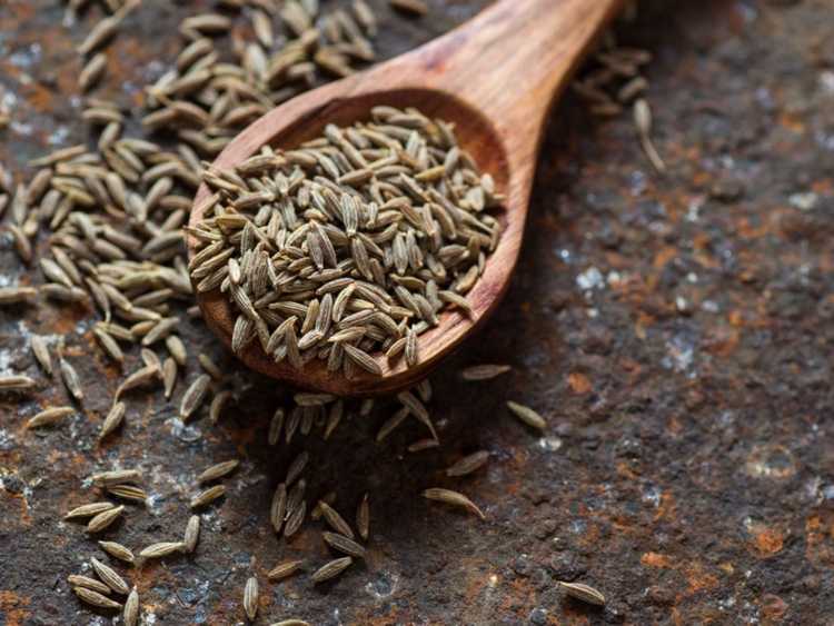 You are currently viewing Entretien des plantes de cumin : comment cultiver des herbes de cumin