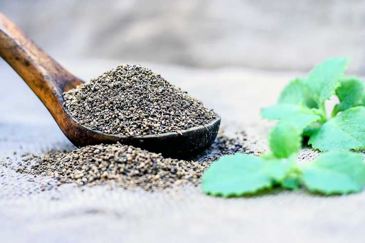 Lire la suite à propos de l’article Informations sur la plante de carambole : découvrez l'herbe indienne Ajwain