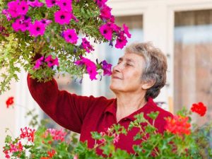 Lire la suite à propos de l’article Jardinage méditatif : le jardinage peut-il être utilisé pour la méditation