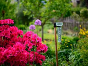 Lire la suite à propos de l’article Comment réparer le débordement excessif du jardin en cas de pluie