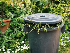 Lire la suite à propos de l’article Méthodes durables d’élimination des déchets de jardin