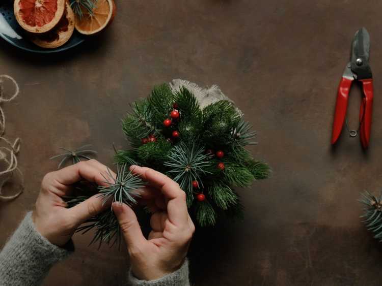 You are currently viewing Deck The Halls : Histoire des conifères dans la maison et conseils de décoration