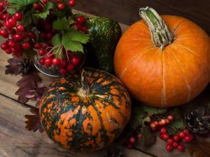 Lire la suite à propos de l’article Décor naturel de Thanksgiving – Comment faire pousser des décorations de Thanksgiving