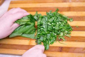 Lire la suite à propos de l’article Utiliser des herbes d'oseille – Comment préparer des plantes d'oseille