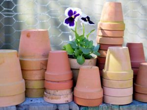 Lire la suite à propos de l’article Sapin de Noël en pot de fleurs DIY : fabriquer un sapin de Noël en terre cuite
