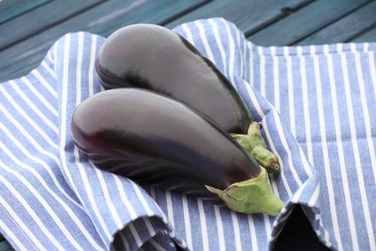 Lire la suite à propos de l’article Informations sur les aubergines Nadia – Soins des aubergines Nadia dans le jardin