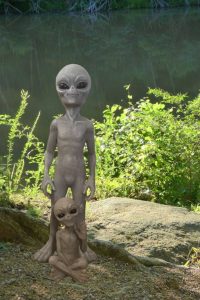 Lire la suite à propos de l’article Jardins favorables aux ovnis : conseils pour attirer des extraterrestres dans votre jardin