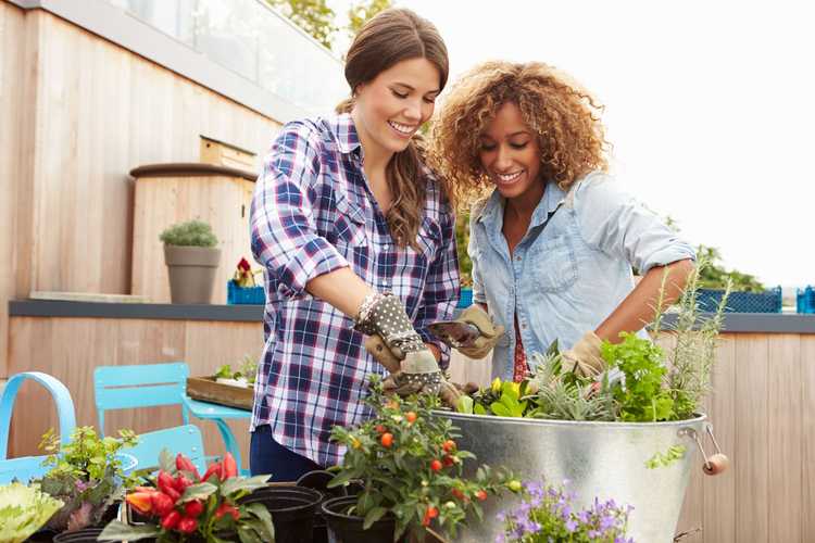 Lire la suite à propos de l’article Jardins et amitié : passer du temps avec des amis dans le jardin