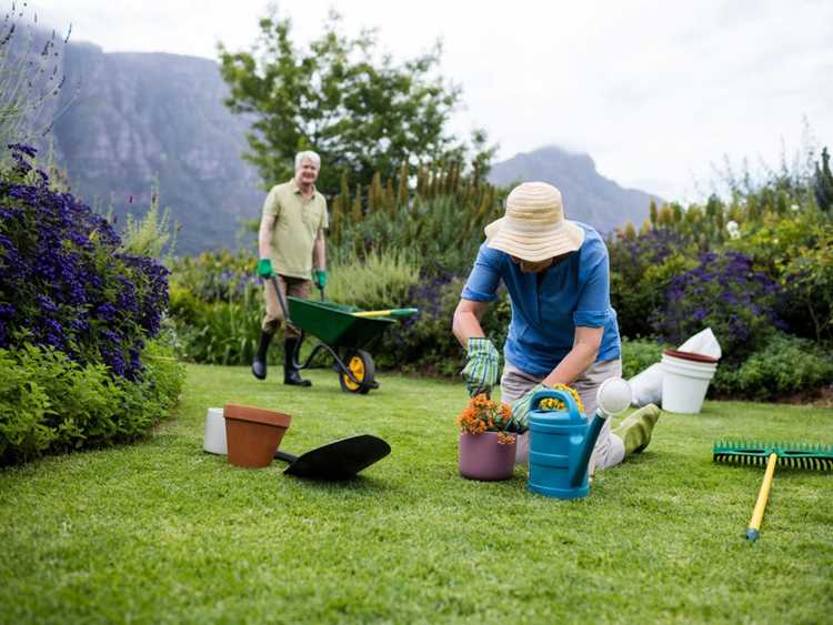 Lire la suite à propos de l’article Garden Fitness : découvrez l’exercice dans le jardin