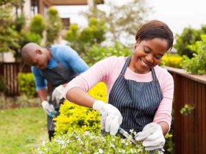 Lire la suite à propos de l’article Pourquoi créer un jardin : avantages de la culture de jardins