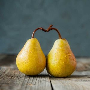 Lire la suite à propos de l’article Poire d'été contre. Poire d'hiver : qu'est-ce qu'une poire d'hiver et une poire d'été