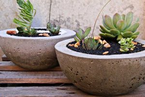 Lire la suite à propos de l’article Idées de jardinières en béton – Comment construire des pots de fleurs en béton