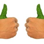 Cadeau pour le jardinage : la main verte est-elle un mythe ?