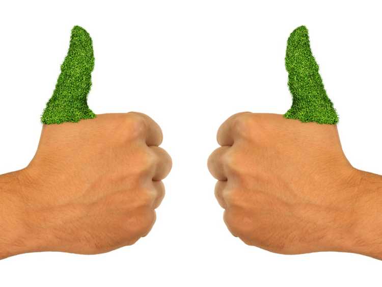 You are currently viewing Cadeau pour le jardinage : la main verte est-elle un mythe ?