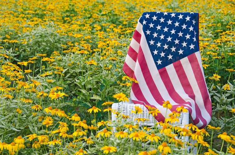 Lire la suite à propos de l’article Fleurs des États-Unis : Liste des fleurs des États américains
