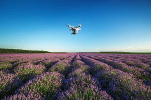 Lire la suite à propos de l’article Drones et jardinage : informations sur l'utilisation des drones dans le jardin