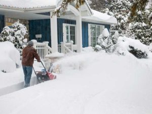 Lire la suite à propos de l’article Qu’est-ce que la neige à effet lac et quel est son impact sur les jardins ?