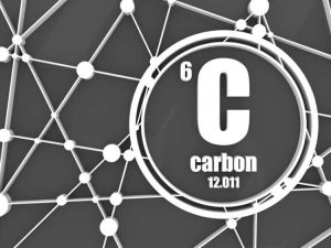 Lire la suite à propos de l’article Les plantes utilisent-elles le carbone : découvrez le rôle du carbone dans les plantes