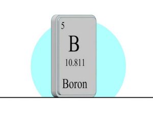 Lire la suite à propos de l’article Bore dans le sol : les effets du bore sur les plantes