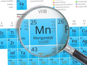 Lire la suite à propos de l’article Le rôle du manganèse dans les plantes – Comment remédier aux carences en manganèse
