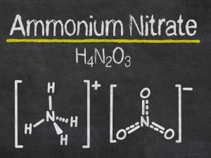 Lire la suite à propos de l’article Engrais au nitrate d'ammonium : comment utiliser le nitrate d'ammonium dans les jardins