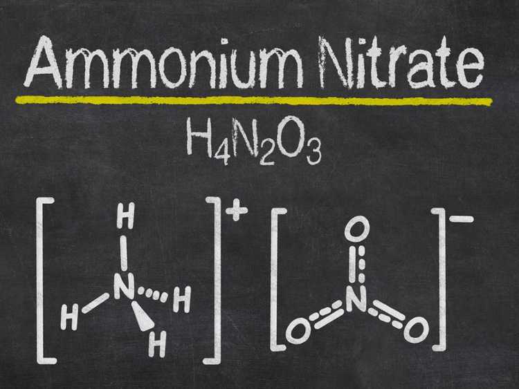 You are currently viewing Engrais au nitrate d'ammonium : comment utiliser le nitrate d'ammonium dans les jardins