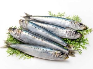 Lire la suite à propos de l’article Engrais pour émulsion de poisson – Conseils pour utiliser l'émulsion de poisson sur les plantes