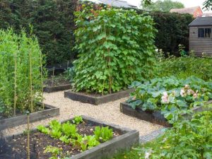 Lire la suite à propos de l’article Meilleur endroit pour installer un lit de jardin surélevé – Choisir un emplacement pour les plates-bandes surélevées