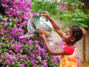 Lire la suite à propos de l’article Conseils d’arrosage des fleurs : un guide pour arroser les fleurs