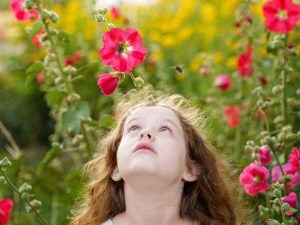 Lire la suite à propos de l’article Idées de cours sur les pollinisateurs : planter un jardin de pollinisateurs avec des enfants