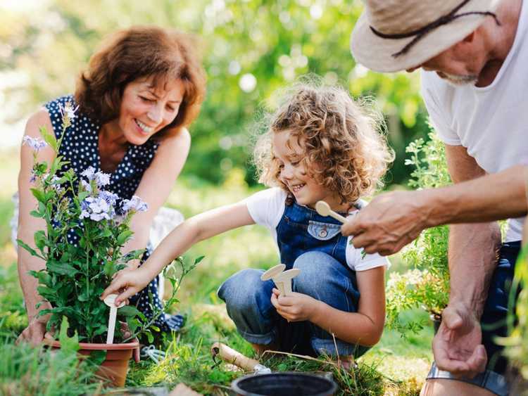 Lire la suite à propos de l’article Faire sortir les enfants – Astuces pour jardiner avec les enfants