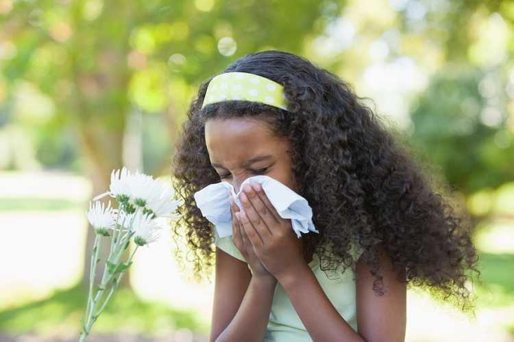 You are currently viewing Problèmes avec le pollen d'été : plantes qui provoquent des allergies estivales