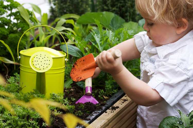 You are currently viewing Choisir des outils pour les enfants : des outils de jardinage de taille enfant pour les jardiniers de la taille d'une pinte