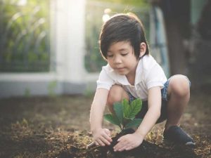 Lire la suite à propos de l’article Planter des arbres pour la terre – Comment planter des arbres pour l’environnement