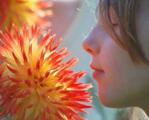 Lire la suite à propos de l’article Chasse au trésor aux fleurs – Un jeu amusant dans le jardin fleuri