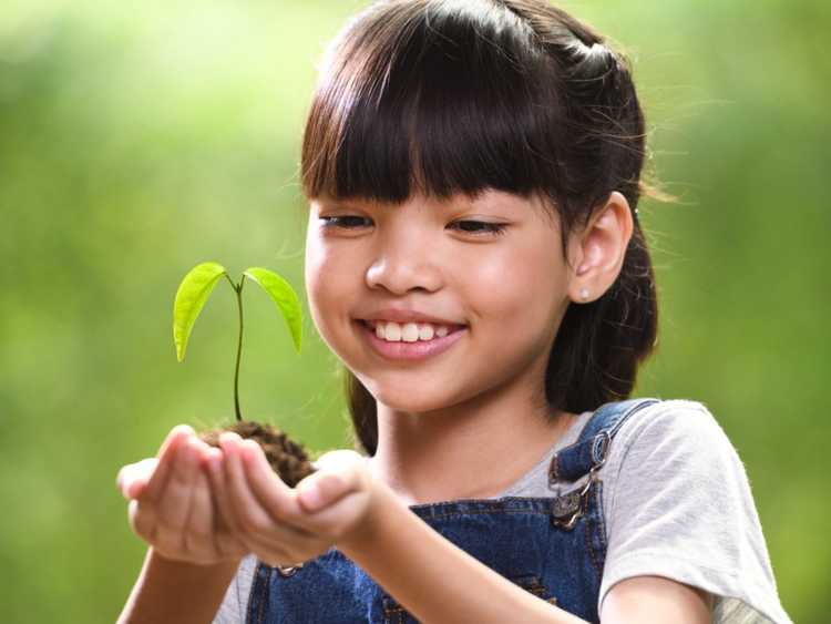 You are currently viewing Cultiver des graines de plantes avec des enfants – Plantes faciles d’entretien et amusantes à cultiver pour les enfants