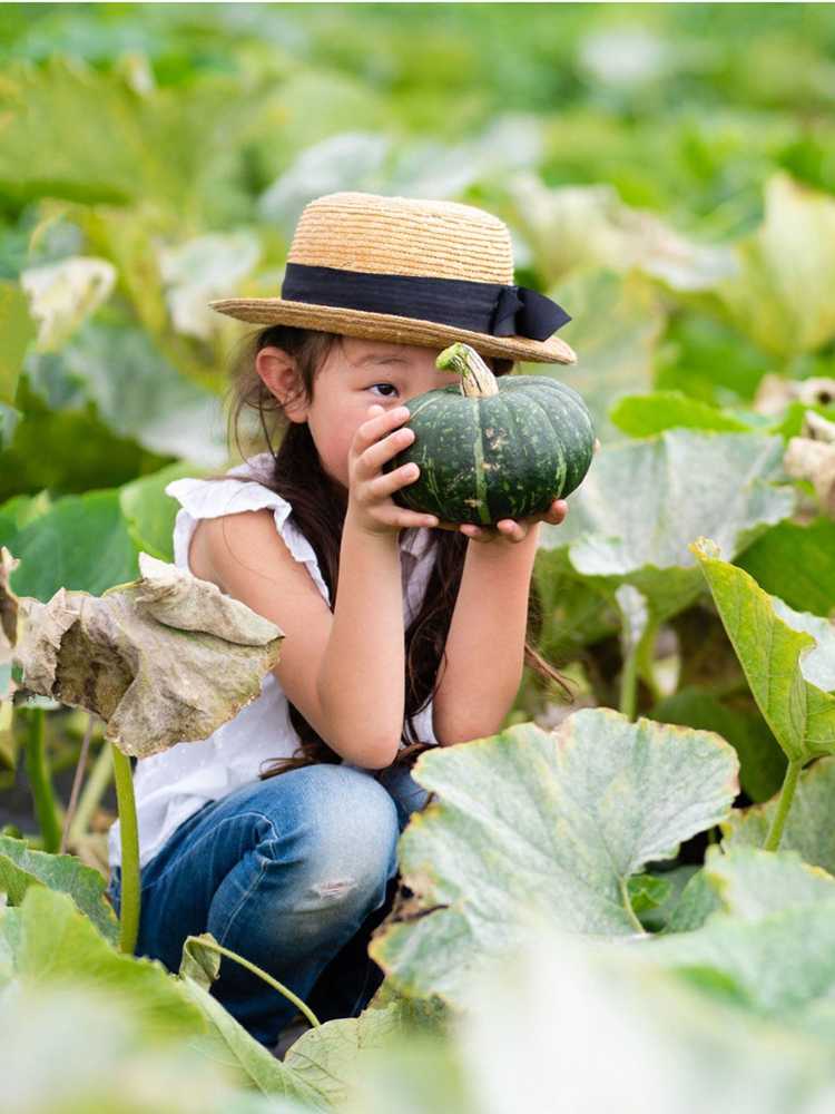 Lire la suite à propos de l’article Jardin d'automne pour les enfants : jardiner en automne avec les enfants