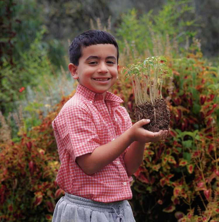 Lire la suite à propos de l’article Jardiner avec des enfants d'âge scolaire : comment créer un jardin pour les enfants d'âge scolaire